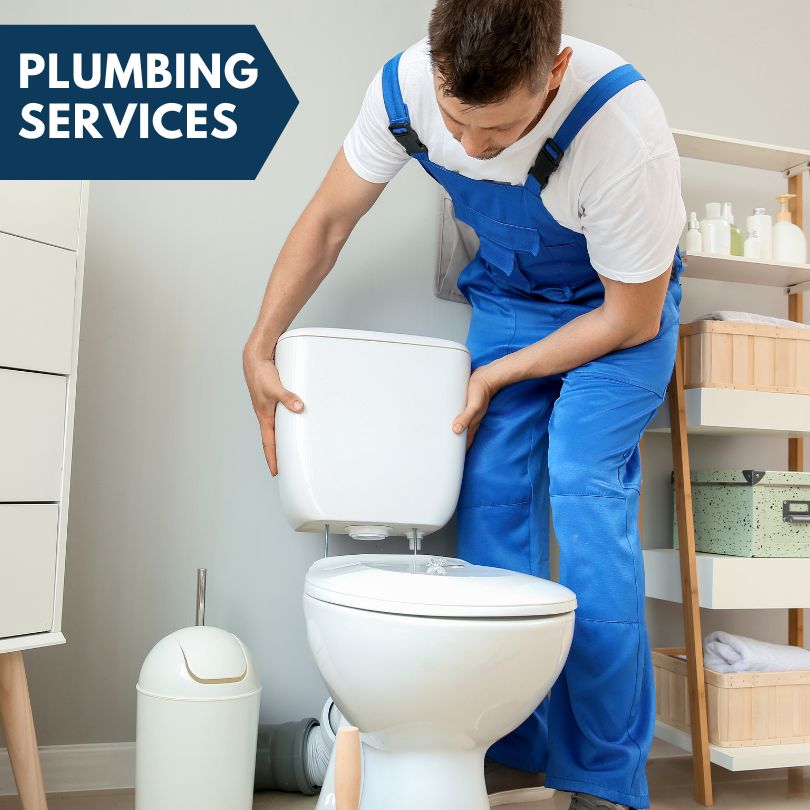 Plumbing Company in Farmdale, OH